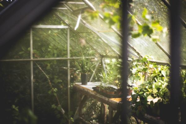 Magnets in a Greenhouse or Nursery