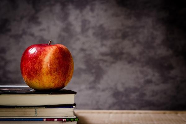Magnets for Classroom Organization: Smart Tools for Teachers