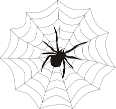 DIY Magnetic Spider Web Game