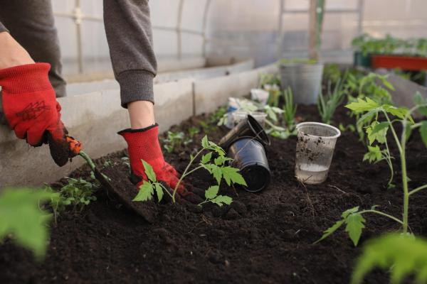 DIY Magnetic Plant Labels for Your Garden