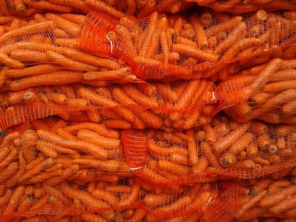 Magnetic Food Processing Round-up