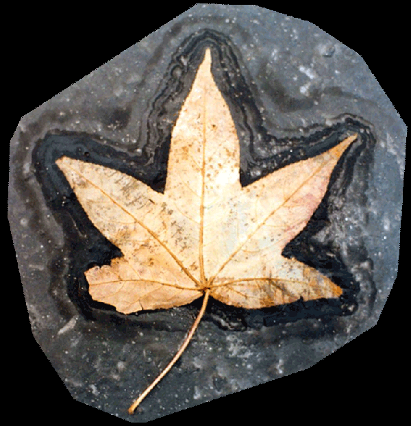 How to Make DIY Turkey Leaf Magnets