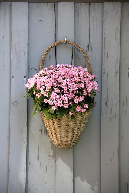 7 Clever Ways to Use Hook Magnets at Home and Beyond