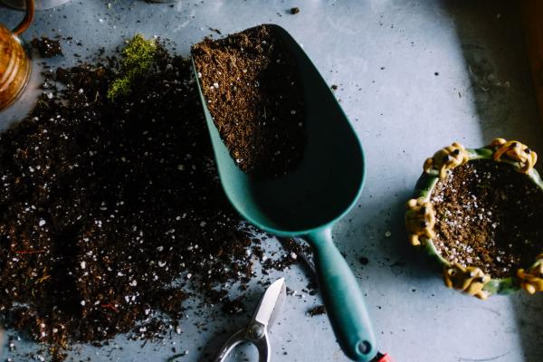 4 Ways to Use Magnets To Upgrade Your Gardening