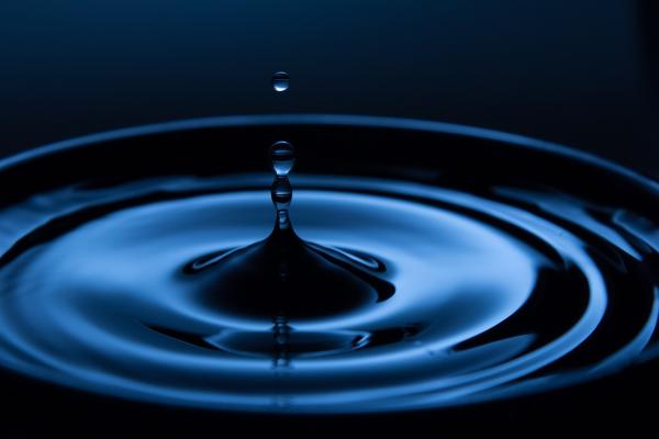 Monopoles: What Water Tells Us About this Rare Phenomenon