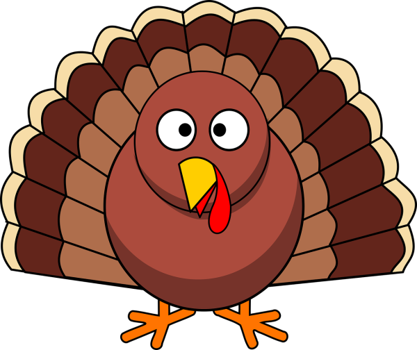 Cork Turkey Magnets