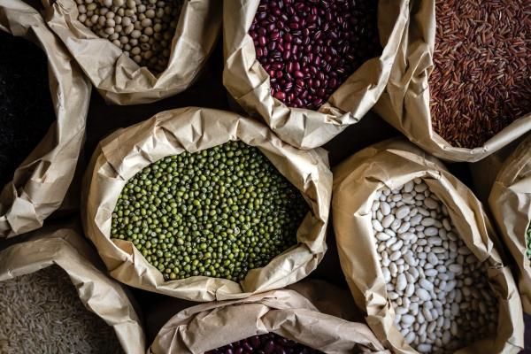 Magnets and Quality Control in the Food & Beverage Industry