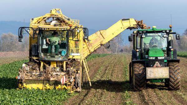 The Role of Magnets in Modern Agriculture