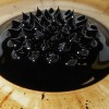 Ferrofluid: Overview and Experiment