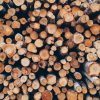 DIY Wax Paper Photo Transfer Magnets