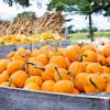 DIY Mason Jar Pumpkin Lids