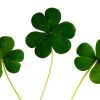St. Patrick’s Day DIY Magnetic Shamrock