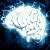 The Human Brain and Its Magnetism