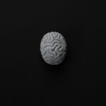 How Magnets Help The Brain After A Stroke