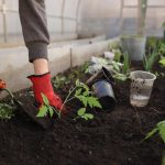 Magnets for the Home Gardener